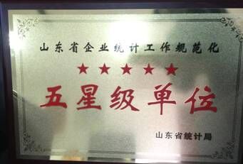 聯(lián)興集團(tuán)、開發(fā)公司再次雙獲山東省統(tǒng)計(jì)信用“五星級(jí)單位“
